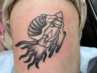 josefhine armadillo