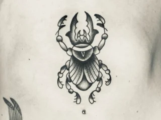 josefhine beetle